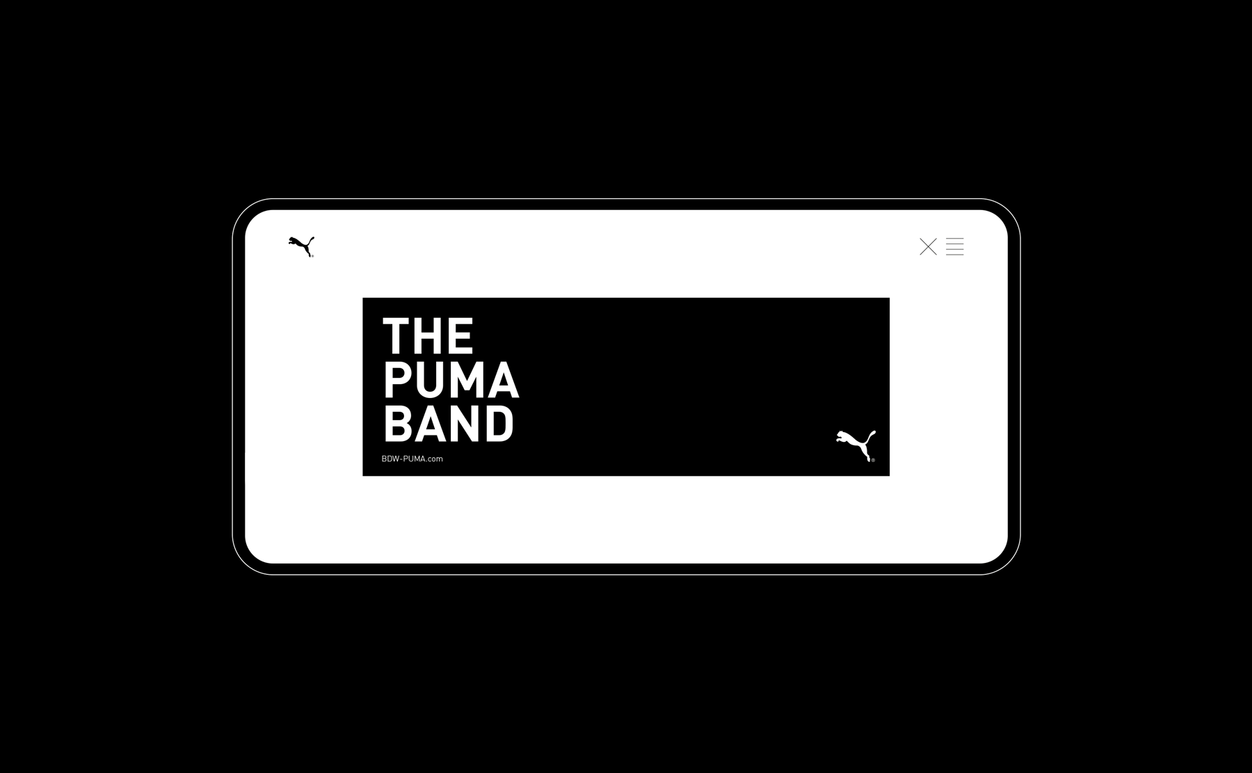 2a.PUMA_screen_smaller